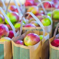 Bolsas de manzanas